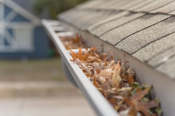 Leaf Barrier Installation in Tampa
